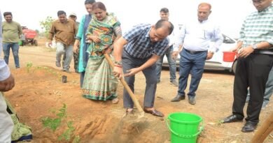 कलेक्टर, सीईओ पहुंचे ग्राम बरौदा, किया पौधरोपण
