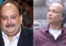 मेहुल चोकसी के वकील विजय अग्रवाल लंदन में गिरफ्तार