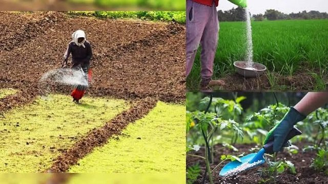 खाद किल्‍लत की अटकलों के बीच सरकार ने सख्‍त की ट्रैकिंग, ऐसे रखा जाएगा हिसाब