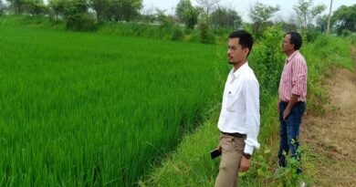 बीज उत्पादन कार्यक्रम के तहत बेमेतरा जिले में 1296 हेक्टेयर क्षेत्र का फसल पंजीयन