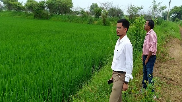 बीज उत्पादन कार्यक्रम के तहत बेमेतरा जिले में 1296 हेक्टेयर क्षेत्र का फसल पंजीयन