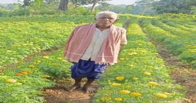 धान से गेंदा की खेती की ओर बढ़े आनंद राम, 0.400 हेक्टेयर में कमाया 3.96 लाख रुपए