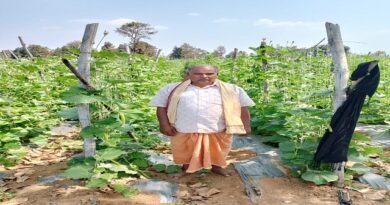 उद्यानिकी विभाग की योजना और तकनीकी मार्गदर्शन से खेती को मिला नया आयाम