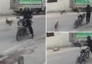 लखनऊ में रोंगटे खड़े करने वाली वारदात: भौंकने पर बाइक सवार ने राइफल से कुत्ते को मारी गोली, घटना CCTV में कैद