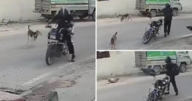 लखनऊ में रोंगटे खड़े करने वाली वारदात: भौंकने पर बाइक सवार ने राइफल से कुत्ते को मारी गोली, घटना CCTV में कैद
