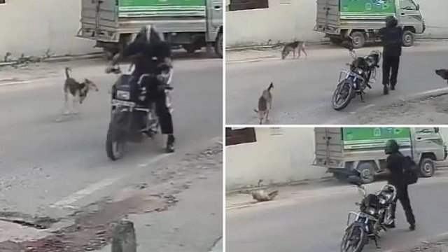 लखनऊ में रोंगटे खड़े करने वाली वारदात: भौंकने पर बाइक सवार ने राइफल से कुत्ते को मारी गोली, घटना CCTV में कैद