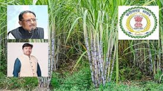 प्रदेश के 31 हजार गन्ना किसानों को मिलेगा 51.09 करोड़ रुपए का बोनस